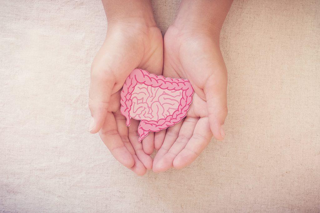 gut microbiome