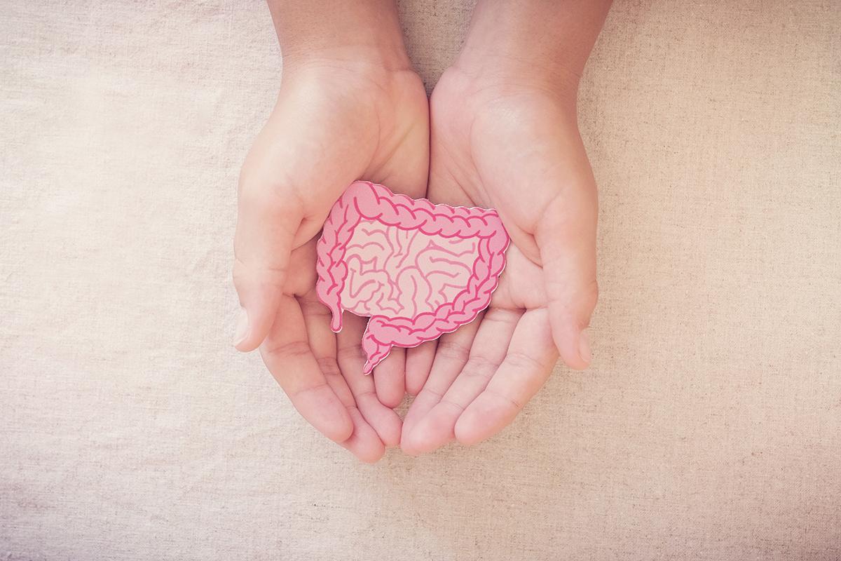 gut microbiome