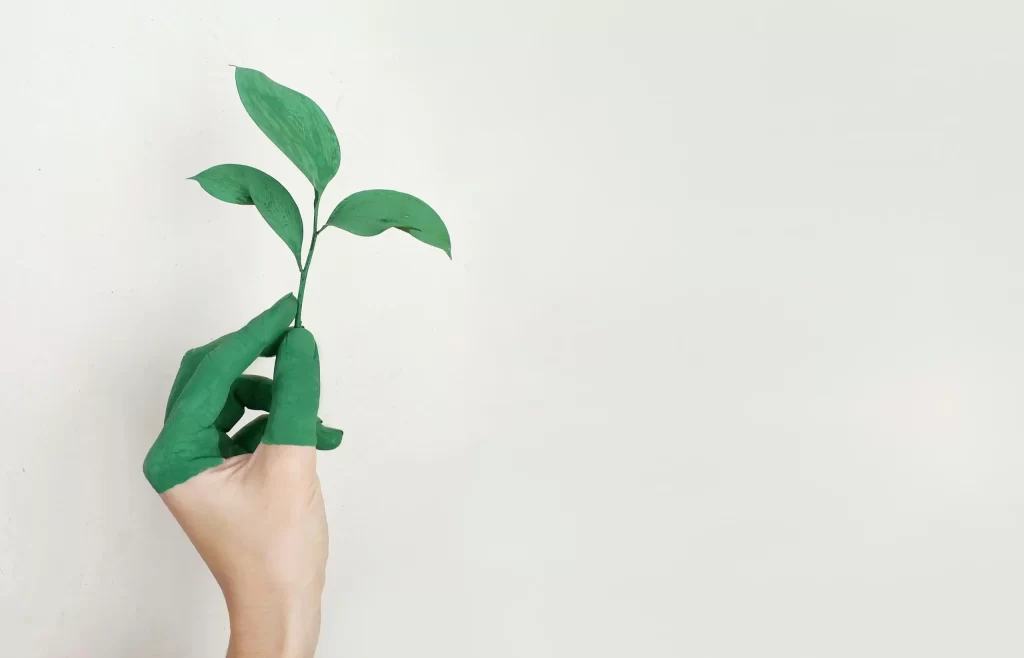 A hand holding a plant with a blank background.